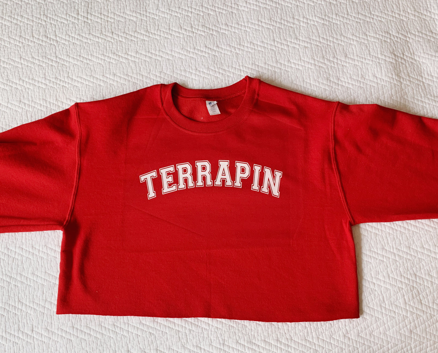 Cropped Sweatshirt